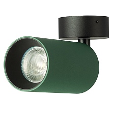 Спот Citilux Axel CL512215 5