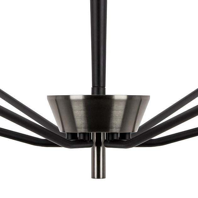 Подвесная люстра Lightstar Ragno 732167 Фото № 6