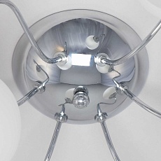 Потолочная люстра Citilux Лучиана CL147161 1