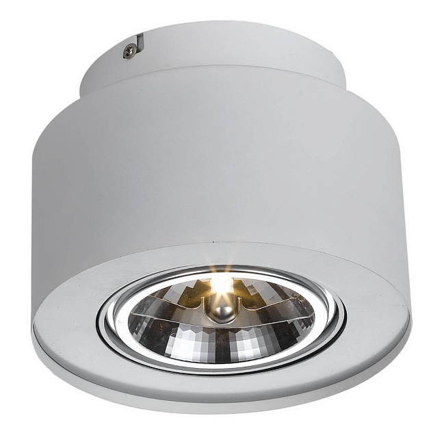 Потолочный светильник Arte Lamp Cliff A5643PL-1WH Фото № 1