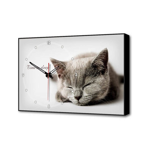 Настенные часы Серая кошка Timebox Toplight 37х60х4см TL-C5022 фото 