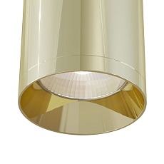 Потолочный светильник Maytoni Technical Focus C010CL-01G 2