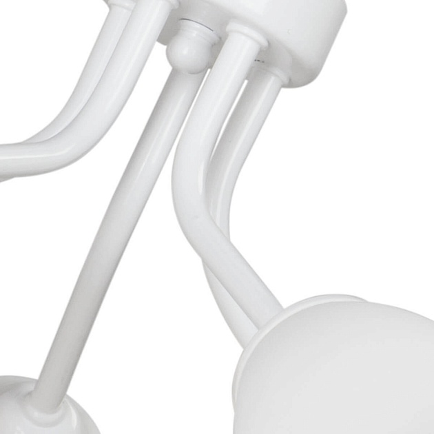 Потолочная люстра Vitaluce V3184/5PL изображение 2 Потолочная люстра Vitaluce V3184/5PL Фото № 2