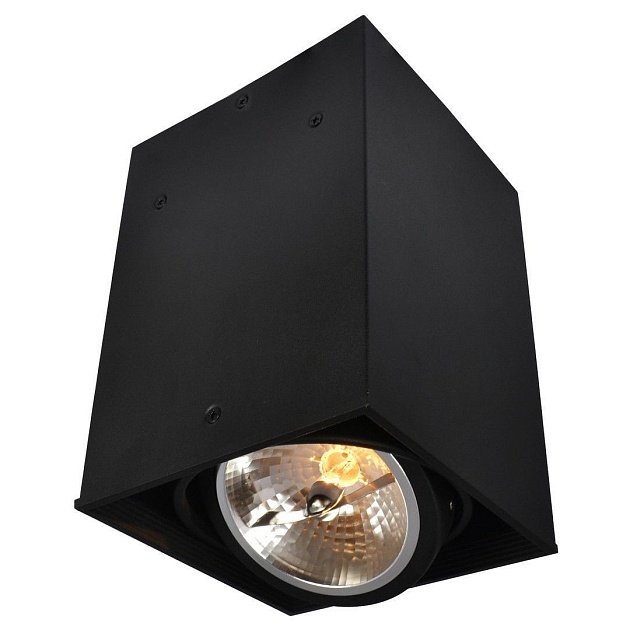Потолочный светильник Arte Lamp Cardani A5936PL-1BK фото 