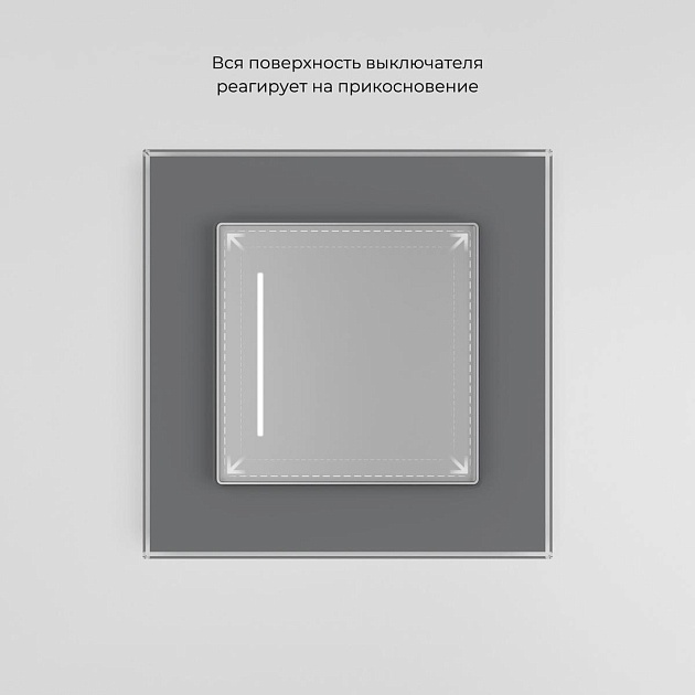 Сенсорный выключатель одноклавишный с подсветкой Werkel серебряный W4512006 4690389197987 изображение 4 Сенсорный выключатель одноклавишный с подсветкой Werkel серебряный W4512006 4690389197987 Фото № 4