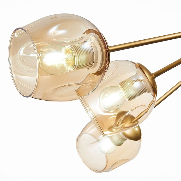 Потолочная люстра Evoluce Pallo SLE155412-10 изображение 2 Потолочная люстра Evoluce Pallo SLE155412-10 Фото № 2