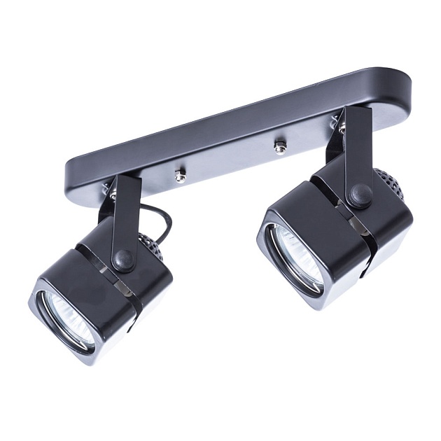 Потолочный светильник Arte Lamp A1315PL-2BK Фото № 1