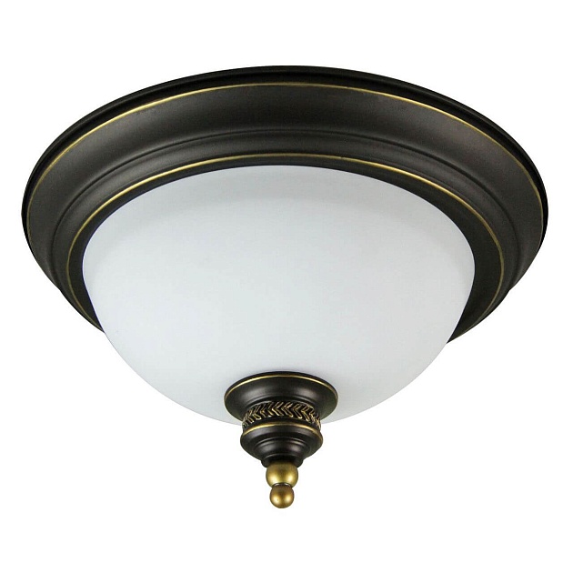 Потолочный светильник Arte Lamp Bonito A9518PL-2BA Фото № 1