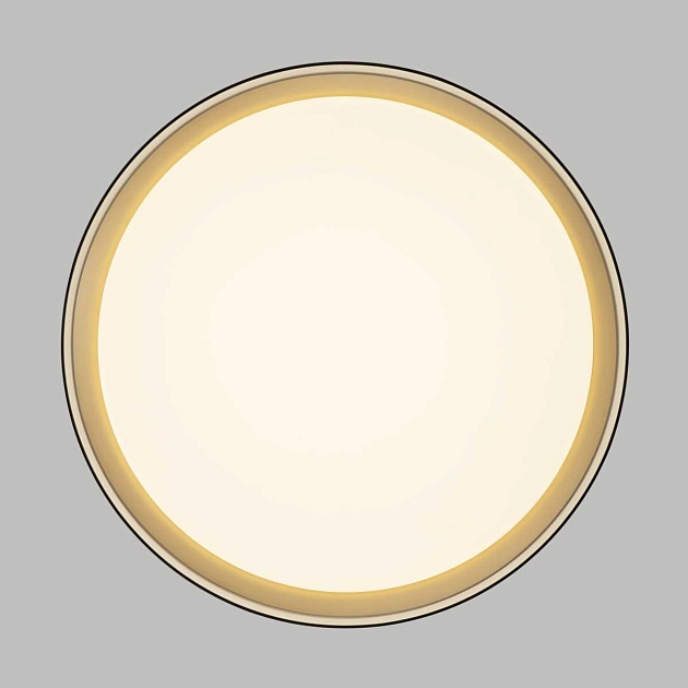 Потолочный светодиодный светильник Citilux Boss CL751351G изображение 13 Потолочный светодиодный светильник Citilux Boss CL751351G Фото № 13