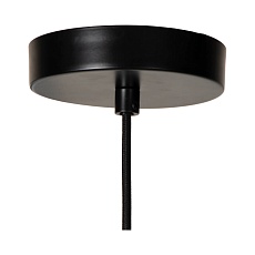 Подвесной светильник Lucide SISKA 45403/01/65 2