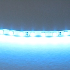 Светодиодная лента Lightstar 12W/m 120LED/m голубой 5M 420516 1