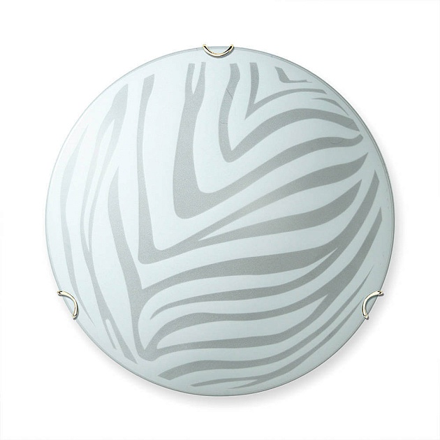 Настенно-потолочный светильник Vitaluce V6006/1A изображение 1 Настенно-потолочный светильник Vitaluce V6006/1A Фото № 1