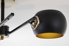 Потолочная люстра Modelux Modemodern MD.5171.2 1