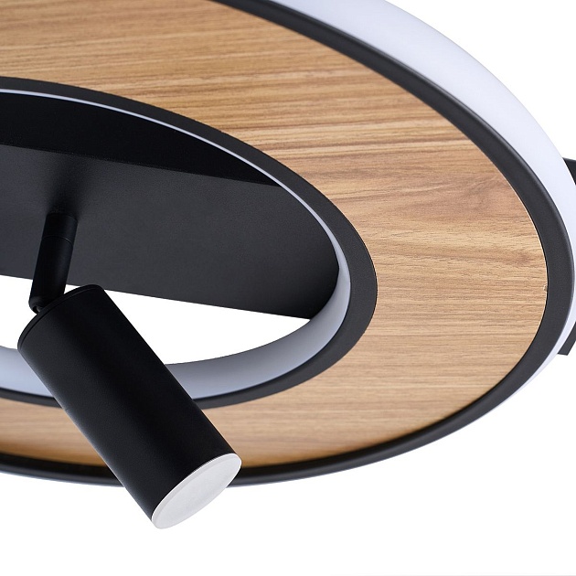 Потолочный светильник F-Promo Olika 4438-2C Фото № 3