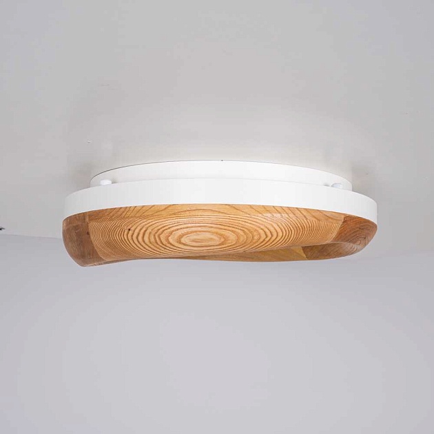 Потолочный светодиодный светильник Imperium Loft Runis 140974-26 изображение 10 Потолочный светодиодный светильник Imperium Loft Runis 140974-26 Фото № 10