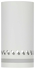 Настенно-потолочный светильник ЭРА OL50 WH Б0059802 2