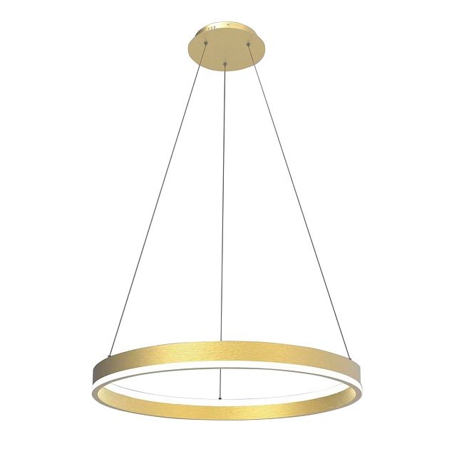 Подвесной светодиодный светильник Lightstar Rotonda 736402 изображение 1 Подвесной светодиодный светильник Lightstar Rotonda 736402 Фото № 1