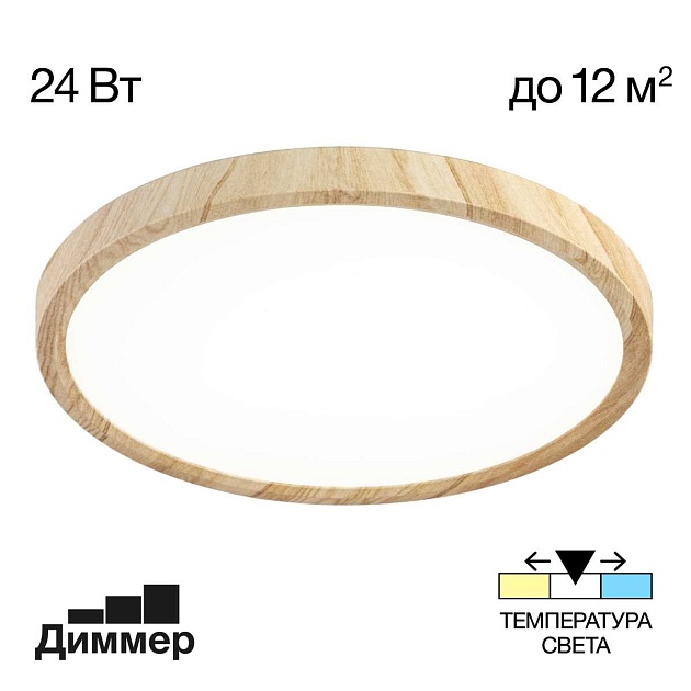 Светильник накладной Citilux Бейсик CL738242V изображение 1 Светильник накладной Citilux Бейсик CL738242V Фото № 1