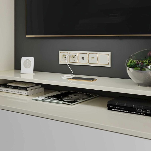 Розетка с заземлением Werkel слоновая кость W1171003 4690389155741 Фото № 3