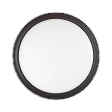 Настенно-потолочный светодиодный светильник Sonex Pale Shiny 3049/EL 1