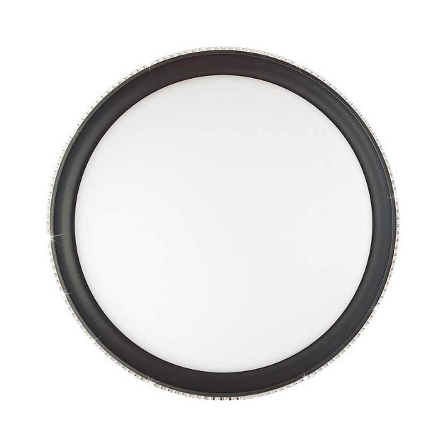 Настенно-потолочный светодиодный светильник Sonex Pale Shiny 3049/EL Фото № 2