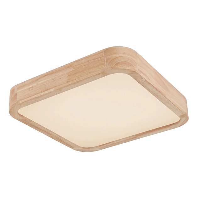 Потолочный светодиодный светильник Globo Leanara 41755-24 изображение 1 Потолочный светодиодный светильник Globo Leanara 41755-24 Фото № 1