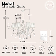 Подвесная люстра Maytoni Grace ARM247-06-G 2