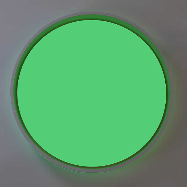 Светильник потолочный Citilux ENZO CL753510G Фото № 5