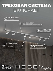 Накладная однофазная трековая система Hesby Lighting Skylite №3 со светильниками HSBL_kompl_S003_NI2W3K 5