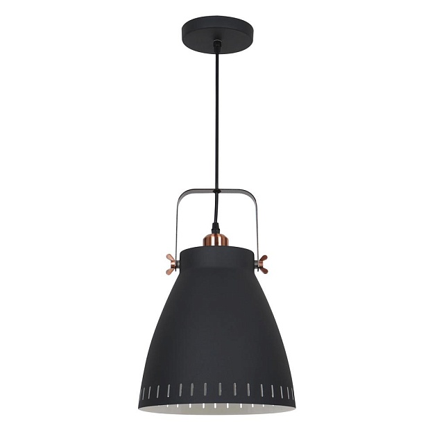 Подвесной светильник Camelion PL-428L C62 13072 изображение 1 Подвесной светильник Camelion PL-428L C62 13072 Фото № 1