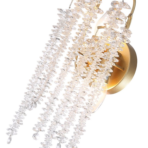 Настенный светильник Favourite Liana 4134-2W Фото № 3