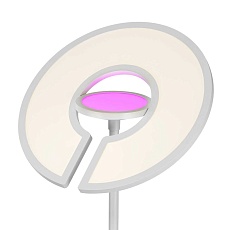 Торшер Citilux Loong CL810030 5