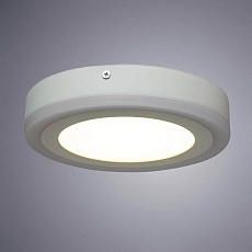 Потолочный светодиодный светильник Arte Lamp Antares A7816PL-2WH 1