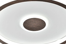 Потолочный светильник Freya Орбита / Orbit FR5421CL-L80BR 5