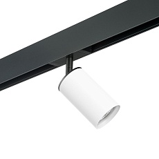 Комплект с трековым светильником Lightstar Rullo (214436+595057) PRO436