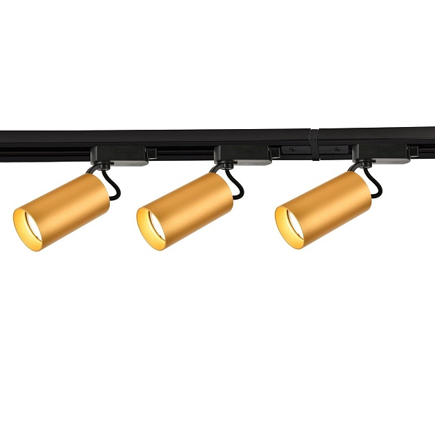 Трековый светильник Favourite Imago 4019-3U изображение 1 Трековый светильник Favourite Imago 4019-3U Фото № 1