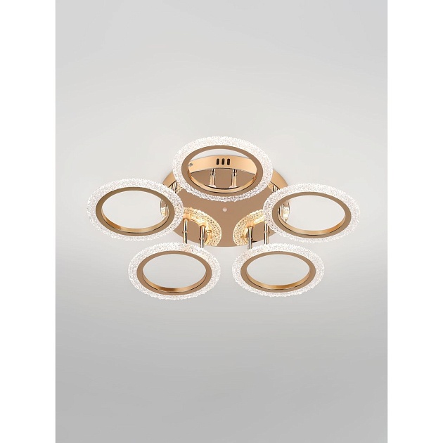 Потолочная светодиодная люстра Rivoli Evlalia 6178-733 Б0068423 Фото № 23