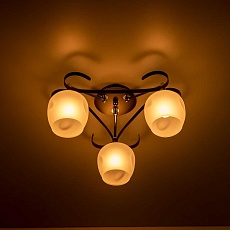 Потолочная люстра Citilux Сюзи CL171134 3