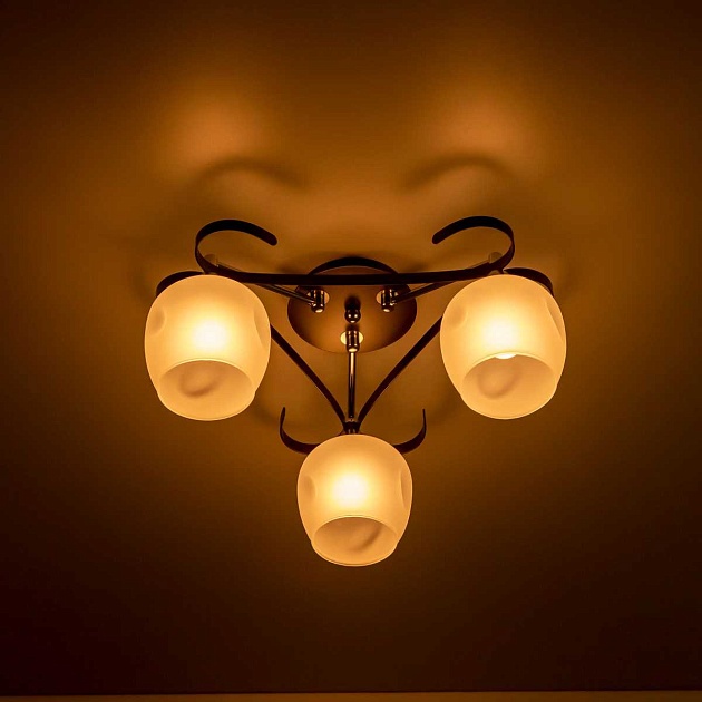 Потолочная люстра Citilux Сюзи CL171134 изображение 4 Потолочная люстра Citilux Сюзи CL171134 Фото № 4