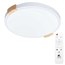 Потолочный светодиодный светильник Arte Lamp Jersey A2684PL-72WH