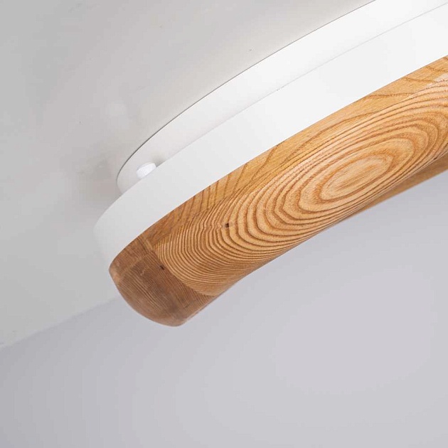 Потолочный светодиодный светильник Imperium Loft Runis 140974-26 изображение 8 Потолочный светодиодный светильник Imperium Loft Runis 140974-26 Фото № 8