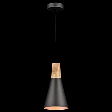 Подвесной светильник Maytoni Bicones P359-PL-140-C 5