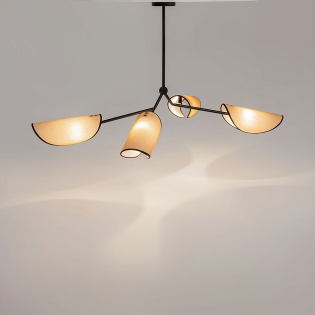 Подвесная люстра Maytoni Organic MOD225PL-04B Фото № 6