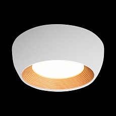 Потолочный светильник Loft IT Folk 10255/350 White 5