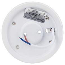 Настенно-потолочный светильник ЭРА OL30 WH Б0056359 2