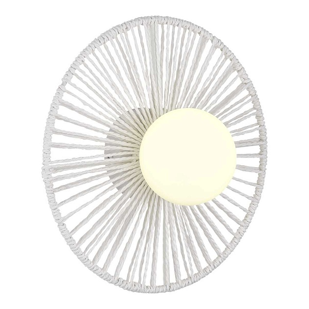 Настенный светильник Evoluce LOOM SLE6022-501-01 Фото № 1