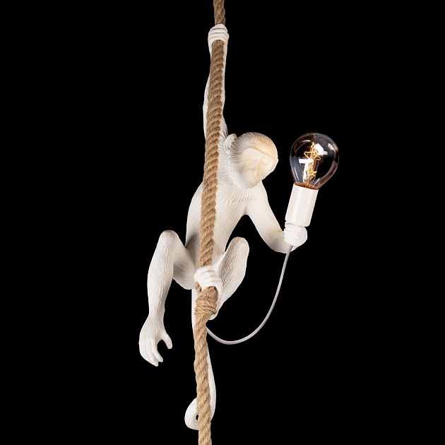 Подвесной светильник Loft IT Monkey 10314P Фото № 2