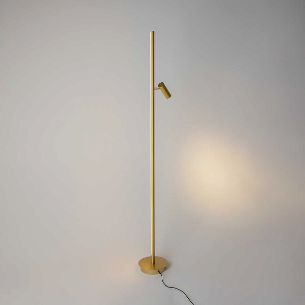 Торшер Maytoni Modern Thin MOD395FL-L28BS3K Фото № 11