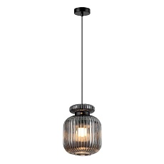 Подвесной светильник Odeon Light JUGI 5042/1B 1