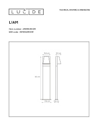 Уличный светильник Lucide Liam 29898/80/29 1